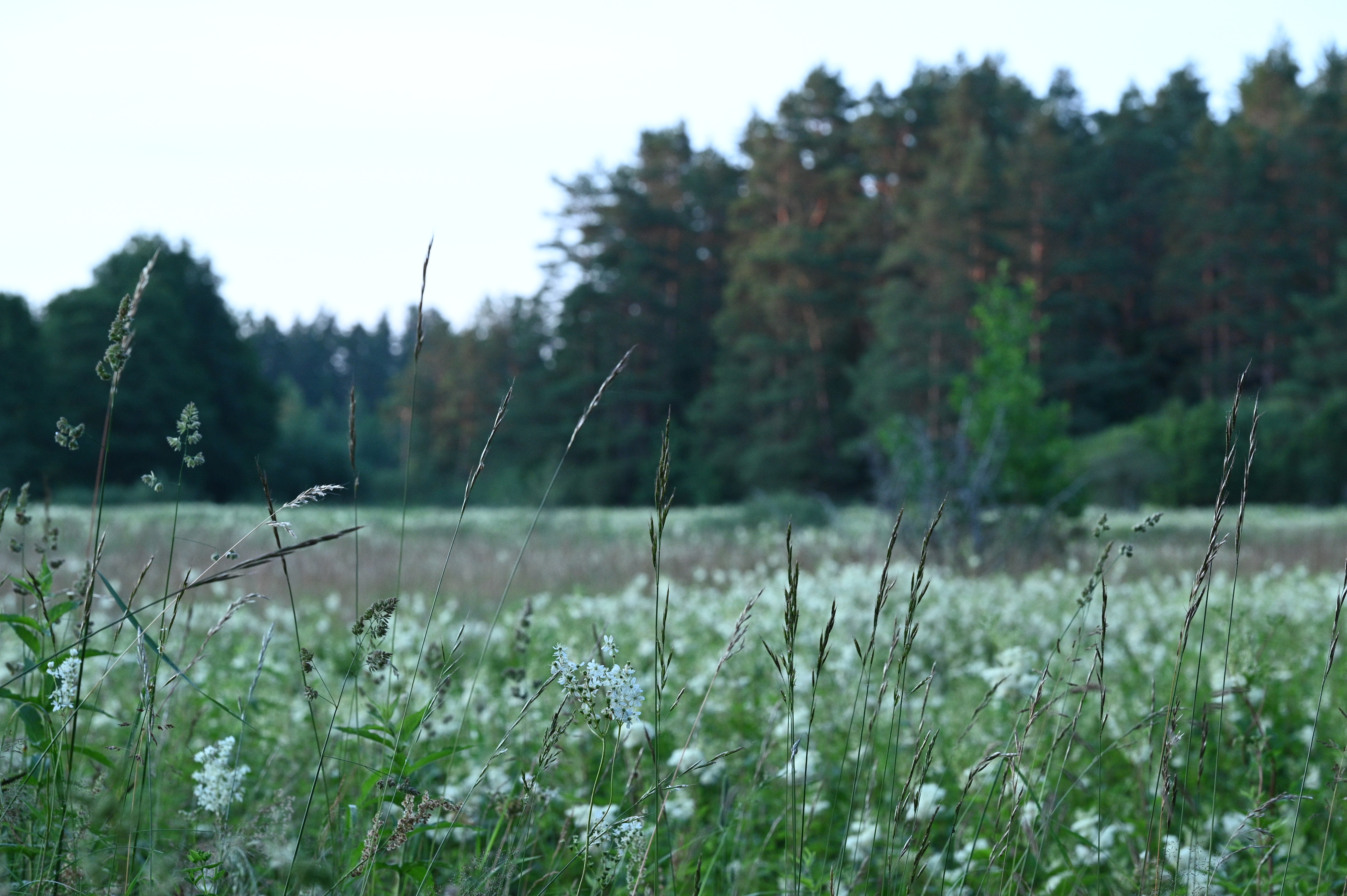 2025/07/09-14 - trip/DSC_0095.JPG